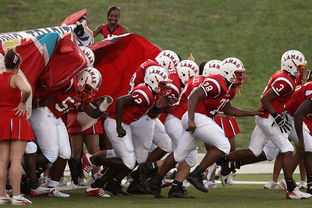 开云博彩-全国青少年长跑赛在南京掀起跑步热潮，青少年长跑标准
