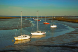 开云体育h5-兴隆湖上演“国际艇战”，多国精英争锋